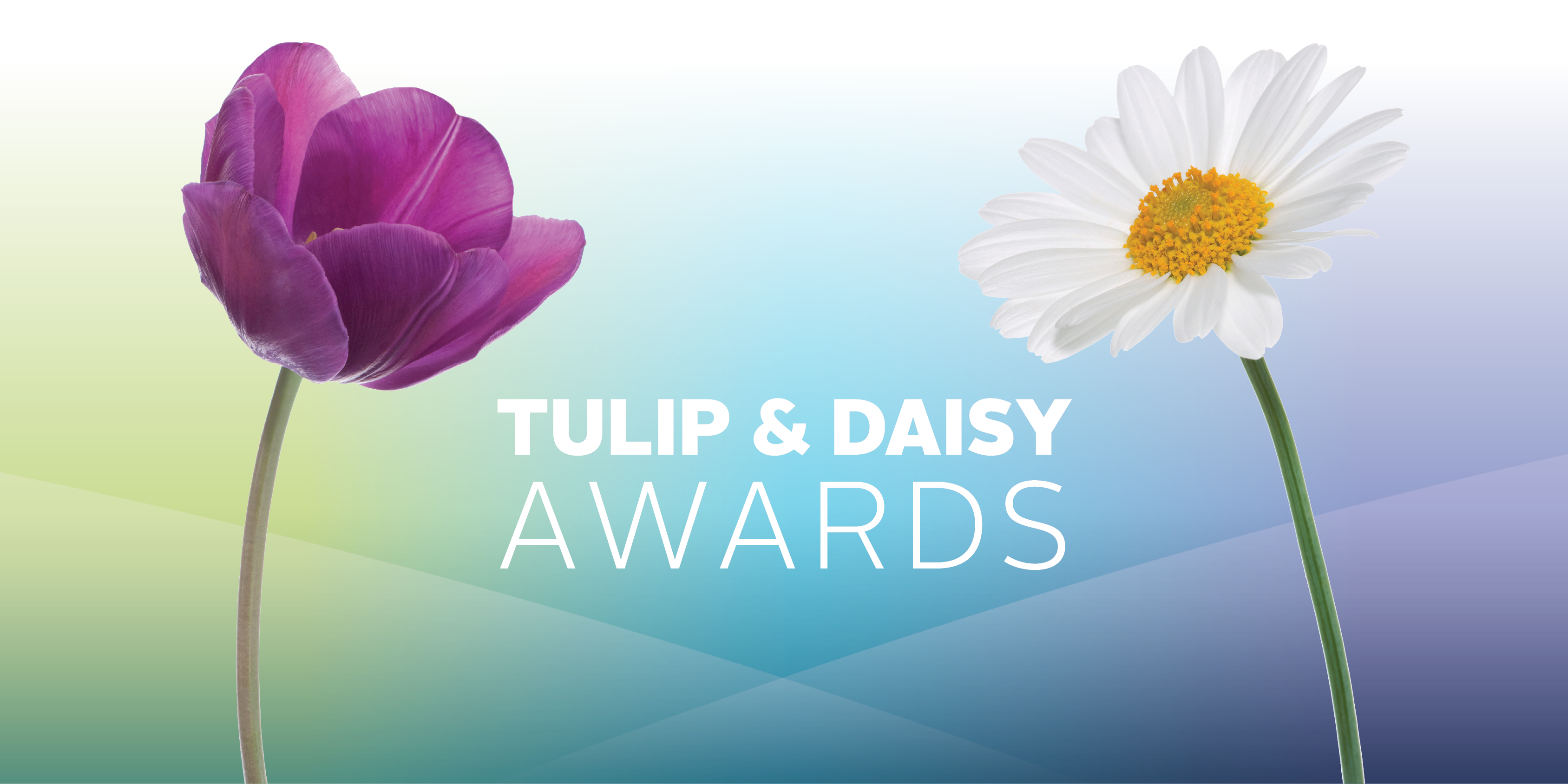 Tulip & Daisy Awards