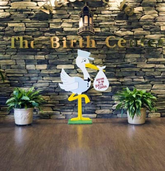 Welcome to the Birth Center brick wall and stork