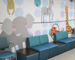 Pediatric Speciality waiting room with baby animal wall art